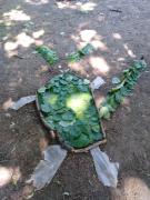 Přírodověda v&nbsp;5.třídě 1